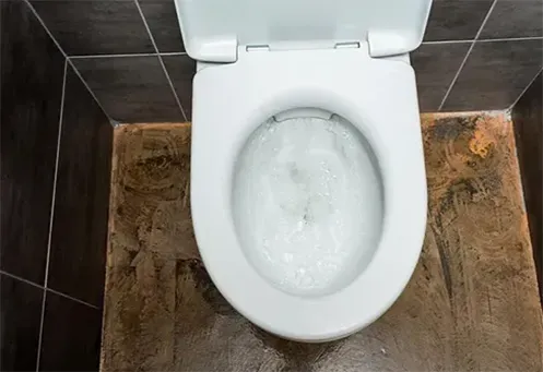 Desentupidora de Vaso Sanitário Urgente no Jardim da Saúde